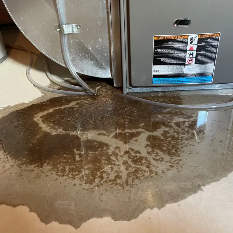 Pipe Burst and Leak Restoration in Waukomis, OK