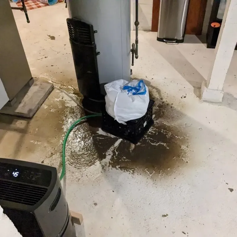 Sewage Backup Cleanup Service in Waukomis, OK